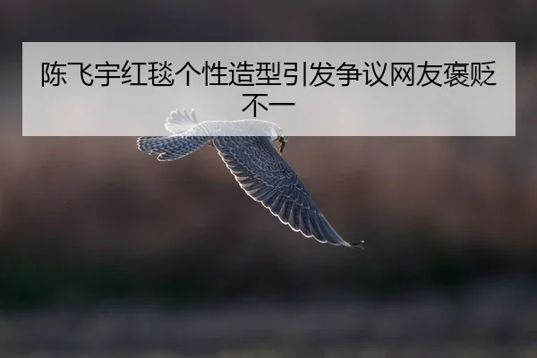 chen-fei-yu-hong-tan-ge-xing-zao-xing-yin-fa-zheng-yi-wang-you-bao-bian-bu-yi-2-565.jpg